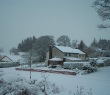 Birch Road